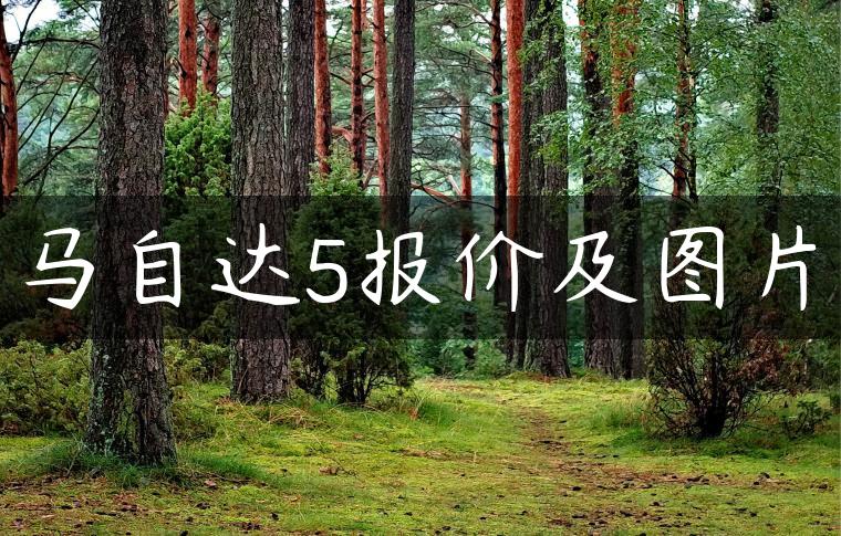 马自达5报价及图片