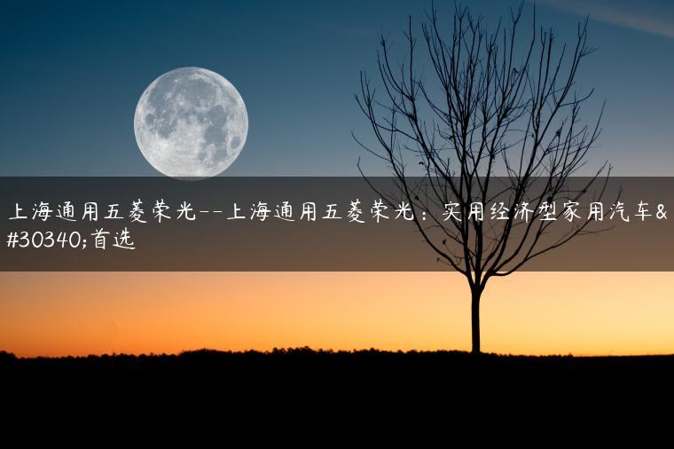 上海通用五菱荣光–上海通用五菱荣光：实用经济型家用汽车的首选
