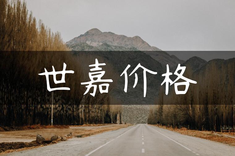 世嘉价格