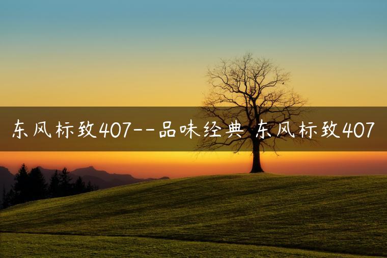 东风标致407–品味经典 东风标致407