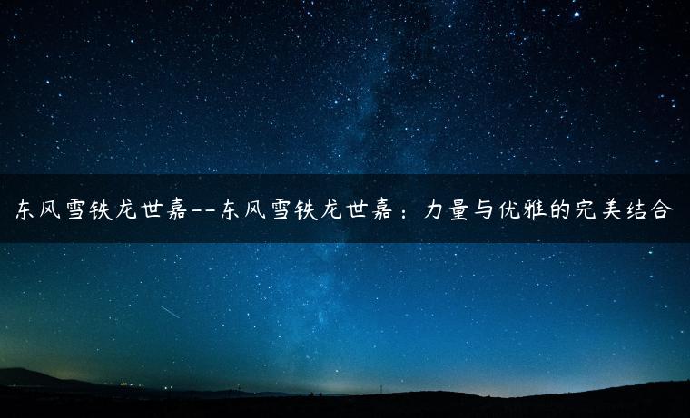 东风雪铁龙世嘉–东风雪铁龙世嘉：力量与优雅的完美结合