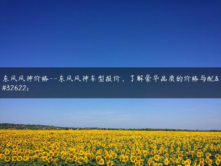 东风风神价格–东风风神车型报价，了解豪华品质的价格与配置