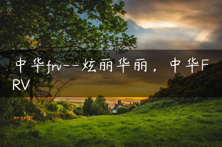 中华frv–炫丽华丽，中华FRV
