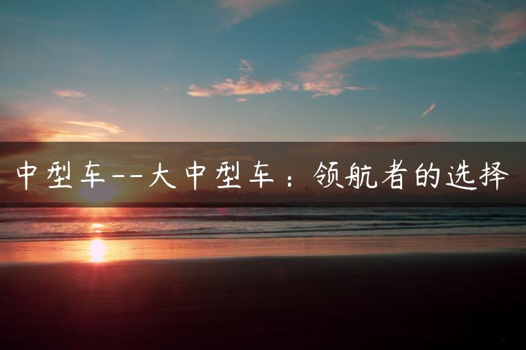 中型车–大中型车：领航者的选择