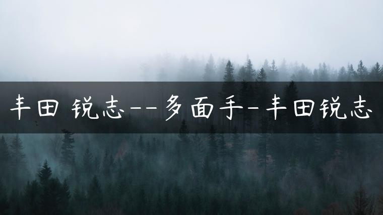 丰田 锐志–多面手-丰田锐志