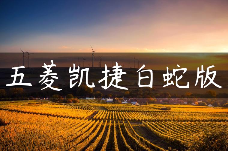 五菱凯捷白蛇版