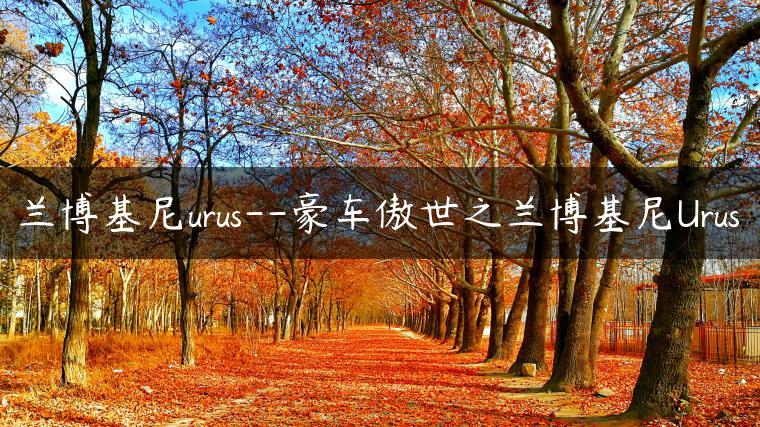 兰博基尼urus–豪车傲世之兰博基尼Urus