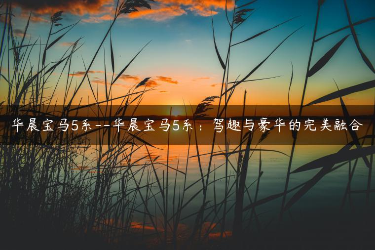 华晨宝马5系–华晨宝马5系：驾趣与豪华的完美融合