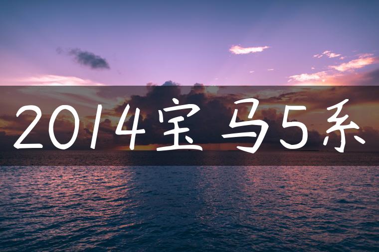 2014宝马5系