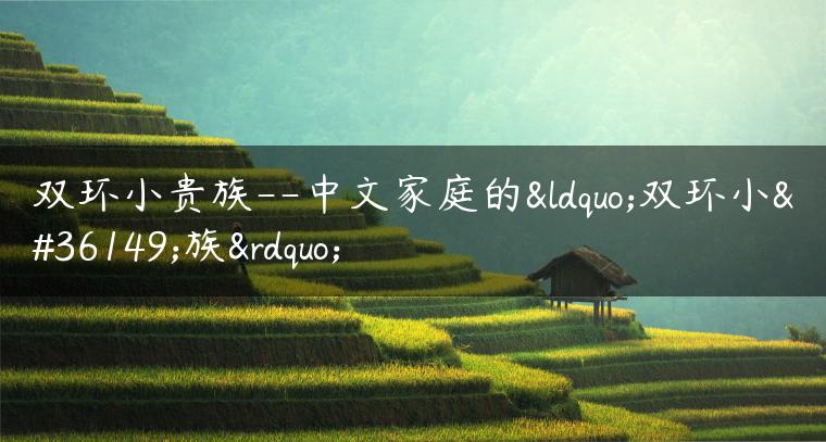 双环小贵族–中文家庭的“双环小贵族”
