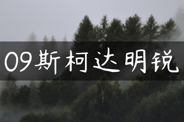 09斯柯达明锐