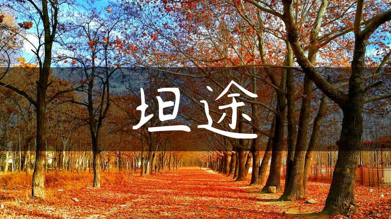 坦途