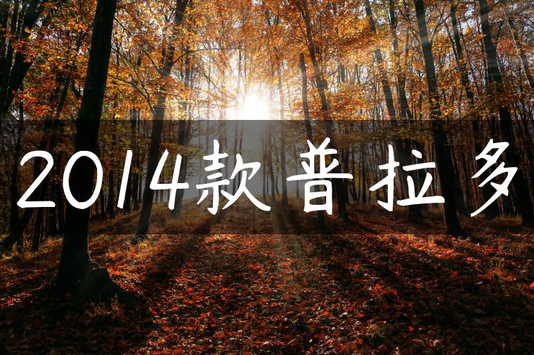 2014款普拉多