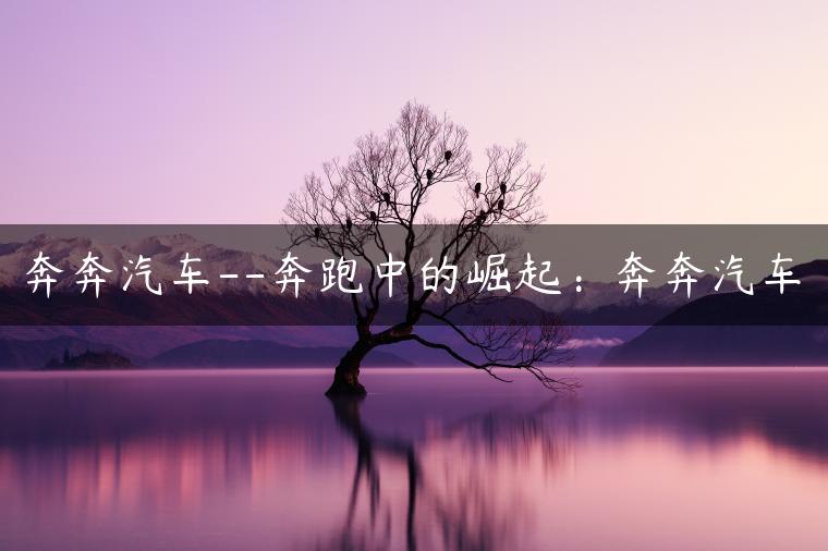 奔奔汽车–奔跑中的崛起：奔奔汽车