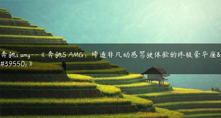 奔驰s amg–《奔驰S AMG：缔造非凡动感驾驶体验的终极豪华座驾》