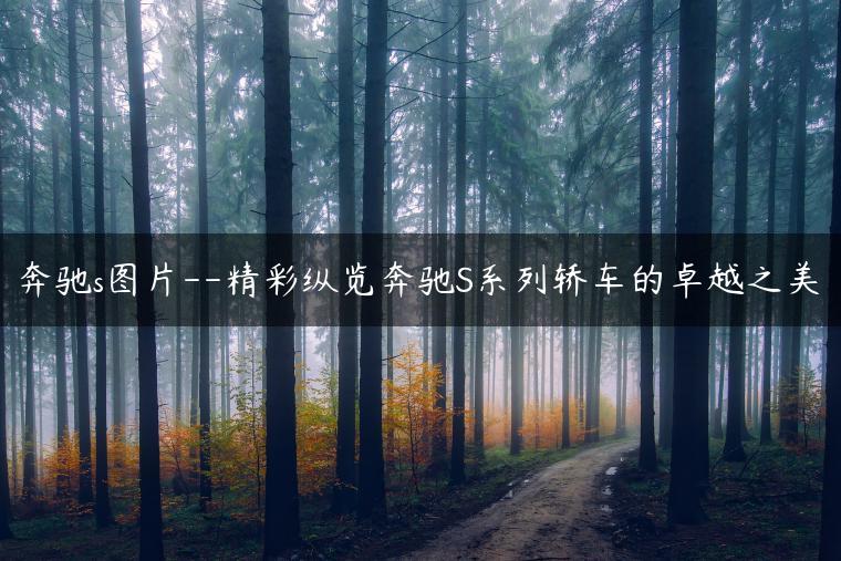 奔驰s图片–精彩纵览奔驰S系列轿车的卓越之美