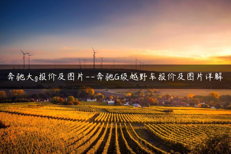 奔驰大g报价及图片–奔驰G级越野车报价及图片详解