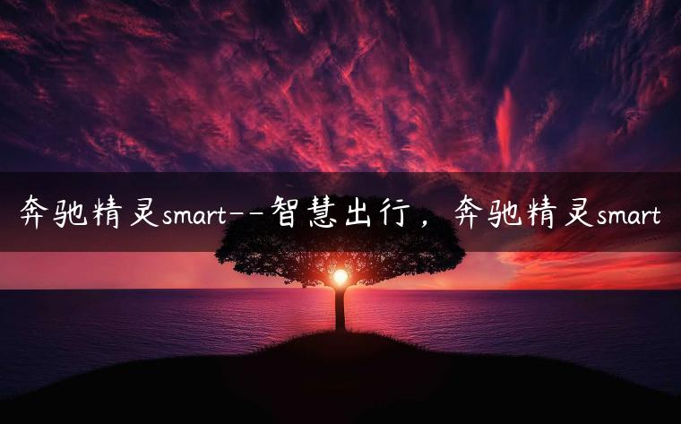 奔驰精灵smart–智慧出行，奔驰精灵smart