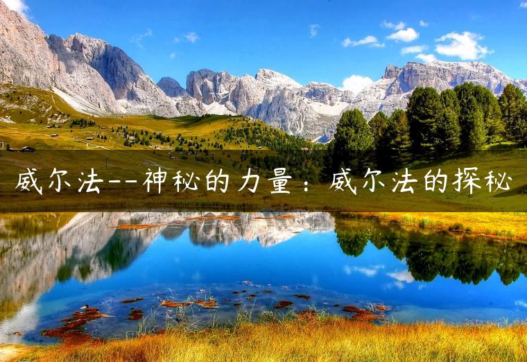 威尔法–神秘的力量：威尔法的探秘-金牌车友