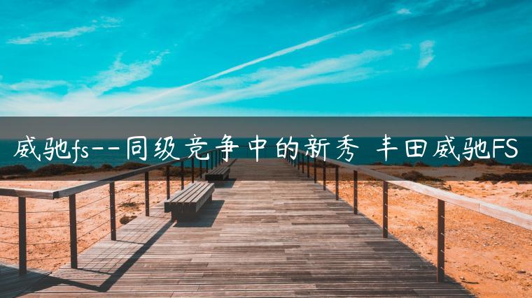 威驰fs–同级竞争中的新秀 丰田威驰FS