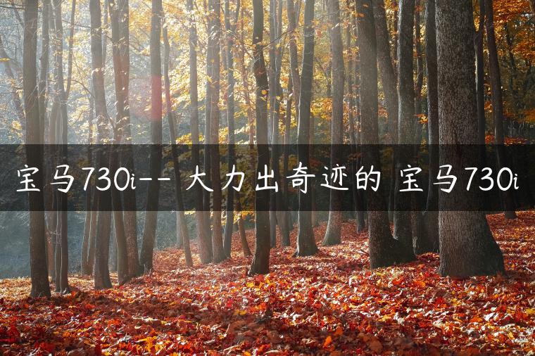 宝马730i– 大力出奇迹的 宝马730i