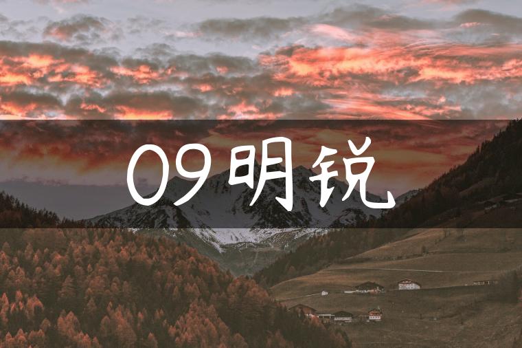 09明锐
