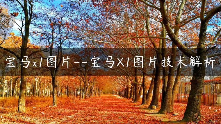 宝马x1图片–宝马X1图片技术解析