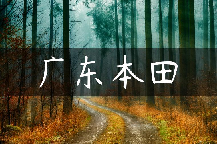 广东本田