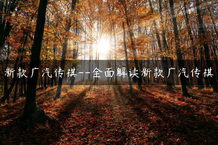 新款广汽传祺–全面解读新款广汽传祺