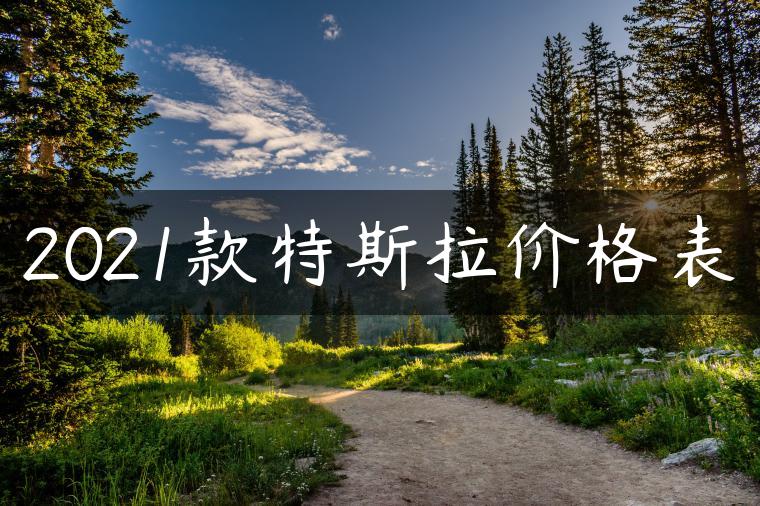 2021款特斯拉价格表