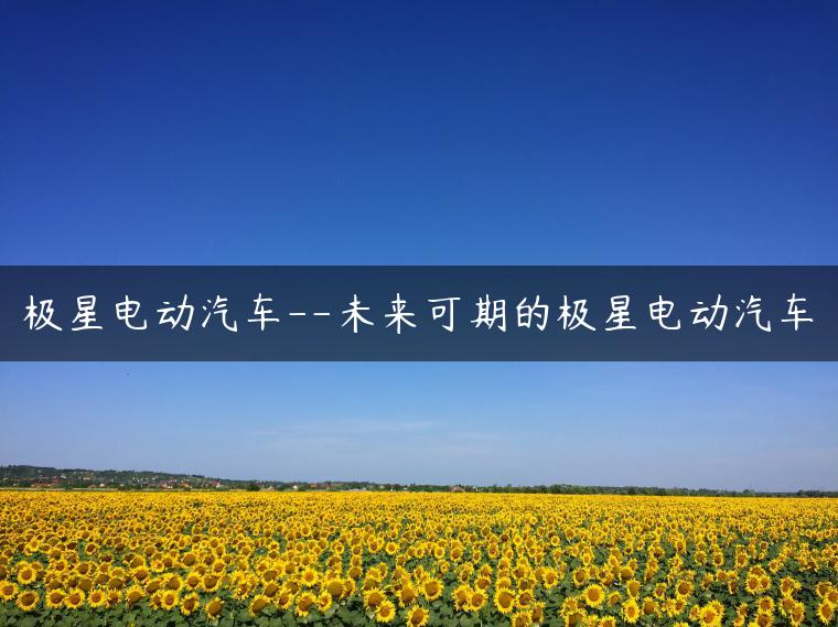 极星电动汽车–未来可期的极星电动汽车