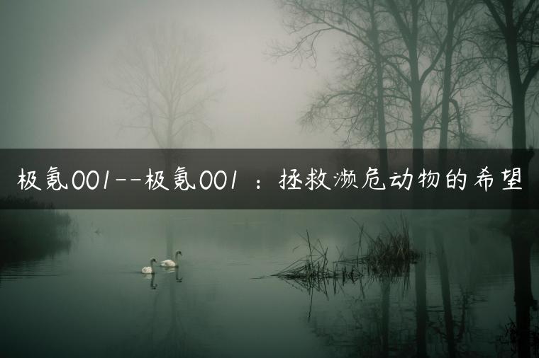极氪001–极氪001 ：拯救濒危动物的希望-金牌车友