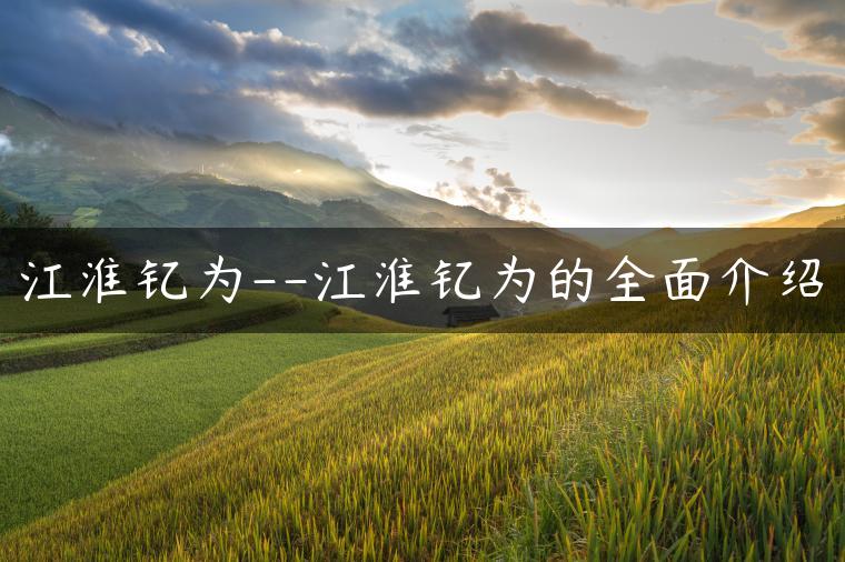 江淮钇为–江淮钇为的全面介绍