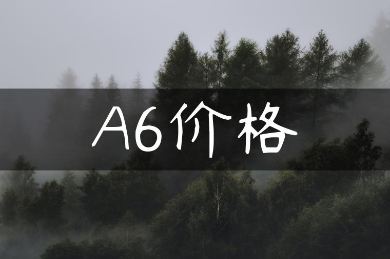 A6价格