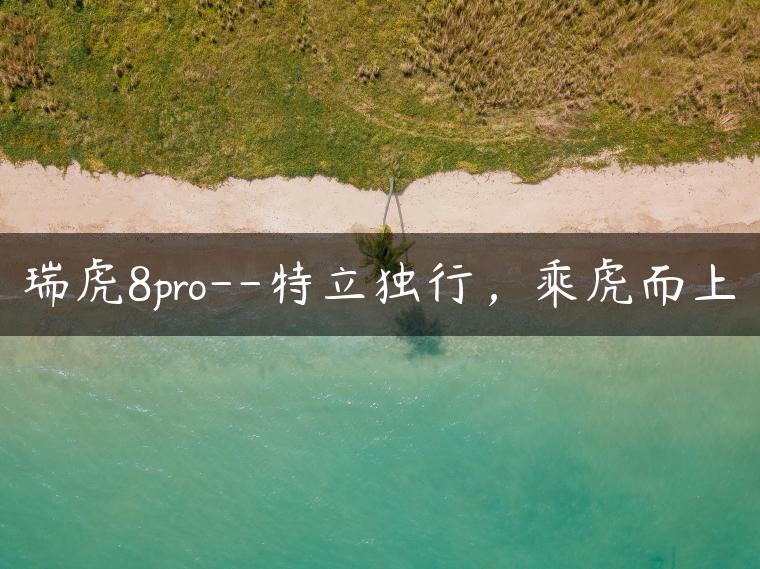 瑞虎8pro–特立独行，乘虎而上