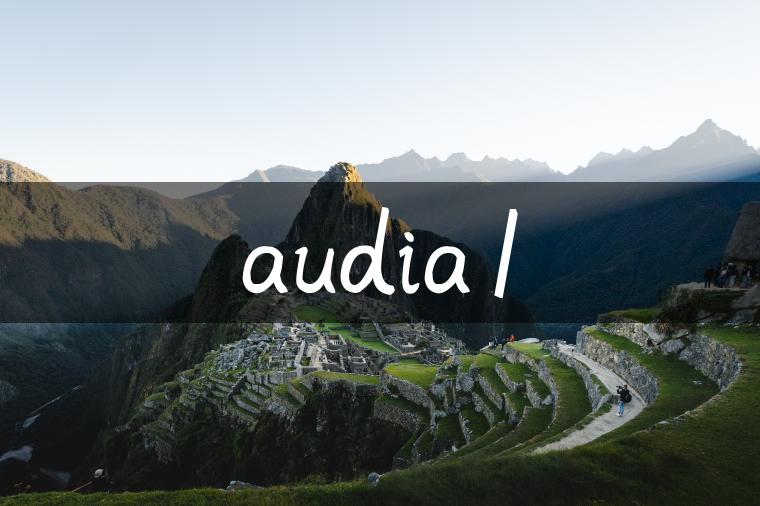 audia1