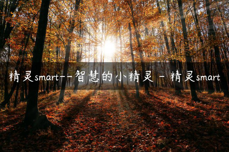 精灵smart–智慧的小精灵 – 精灵smart