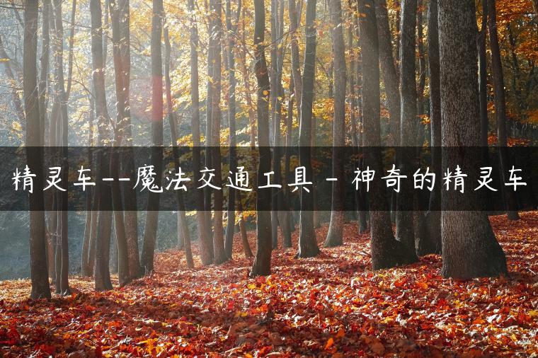 精灵车–魔法交通工具 – 神奇的精灵车-金牌车友