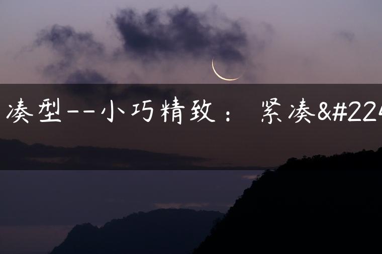 紧凑型–小巧精致： 紧凑型