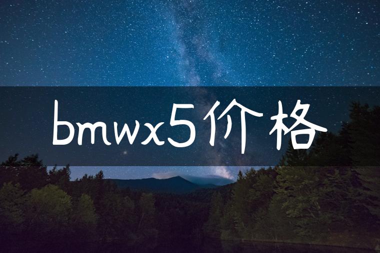bmwx5价格