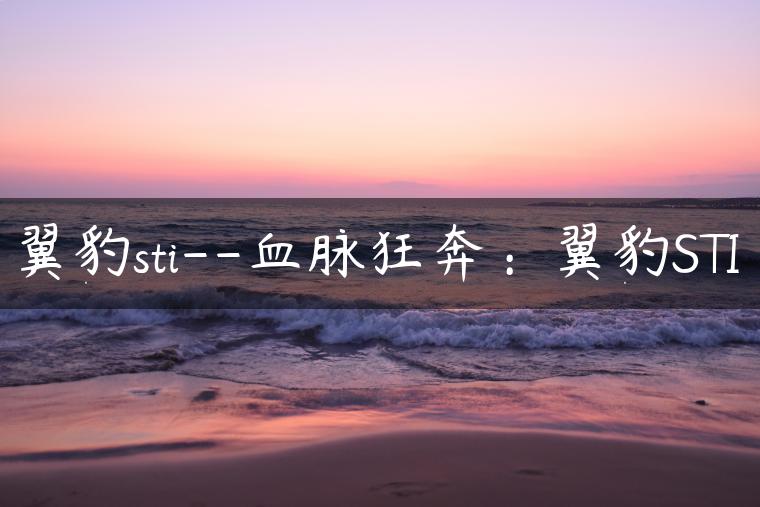 翼豹sti–血脉狂奔：翼豹STI