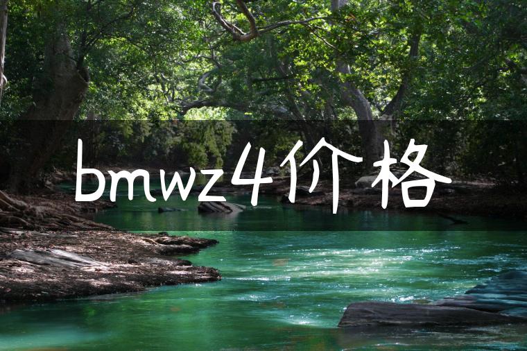 bmwz4价格