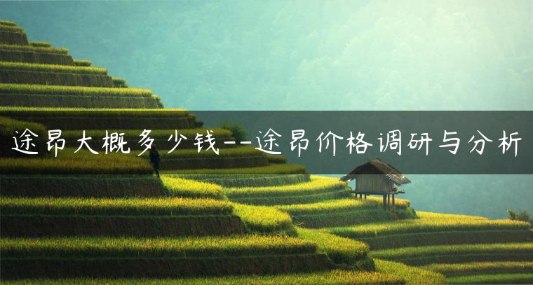 途昂大概多少钱–途昂价格调研与分析