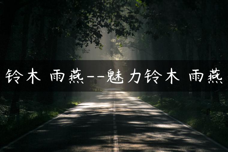 铃木 雨燕–魅力铃木 雨燕