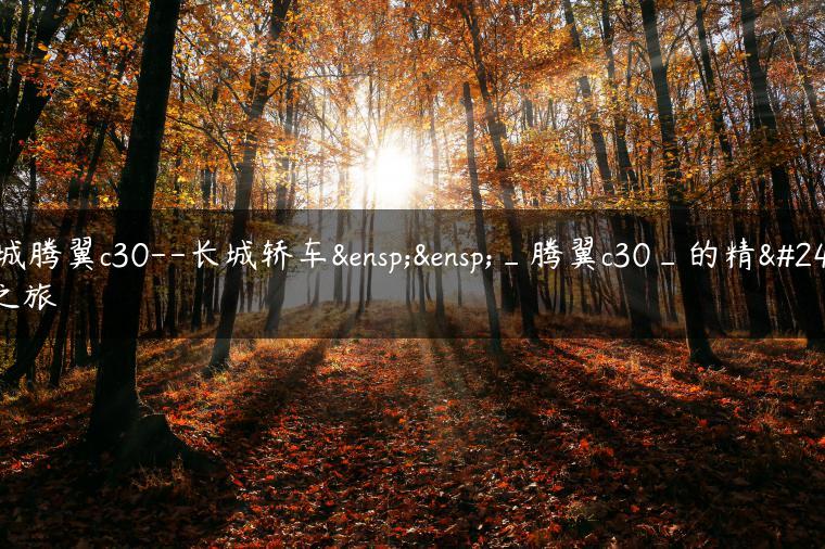 长城腾翼c30–长城轿车  _腾翼c30_的精彩之旅