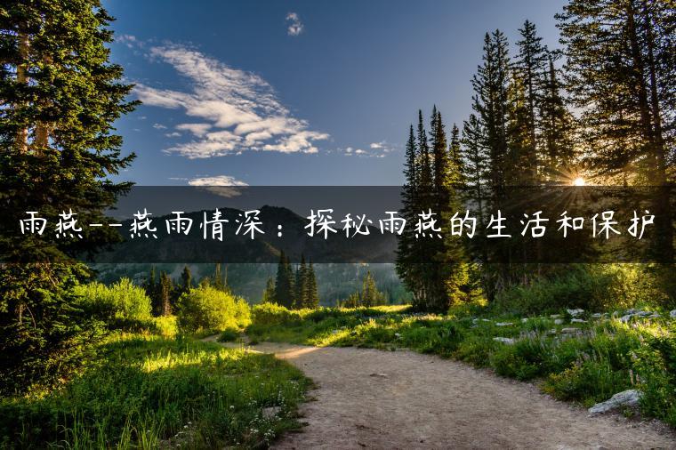 雨燕–燕雨情深：探秘雨燕的生活和保护