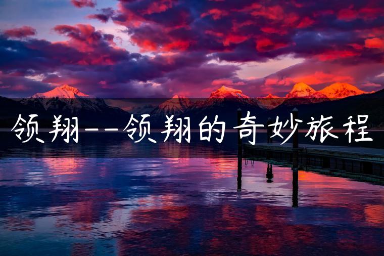 领翔–领翔的奇妙旅程