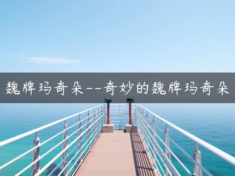 魏牌玛奇朵–奇妙的魏牌玛奇朵