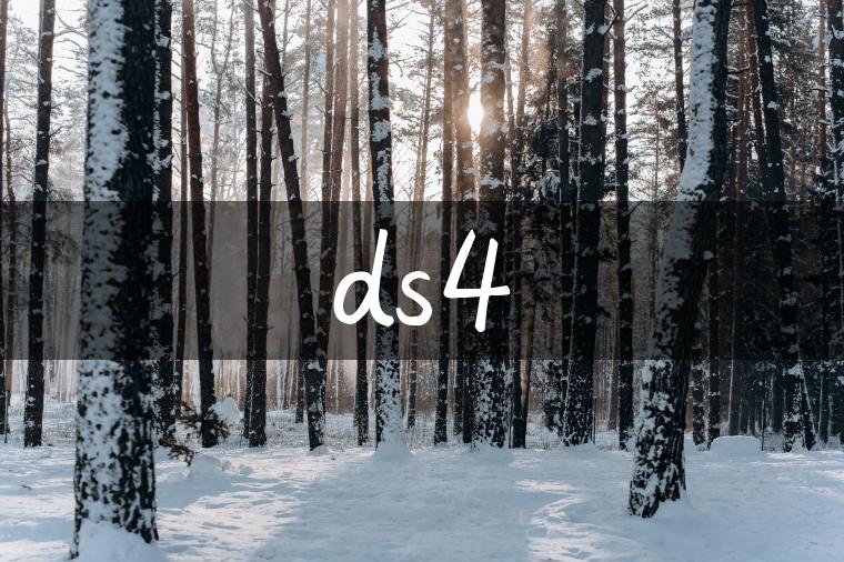 ds4