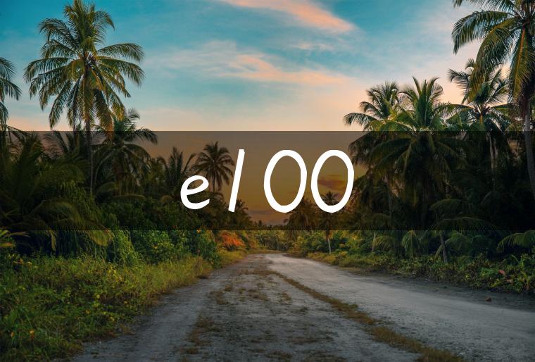 e100